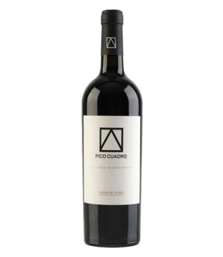 Pico Cuadro Ribera del Duero DO Vendimia Seleccionada 2020