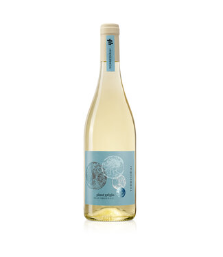 Terre di Rai Pinot Grigio 2024
