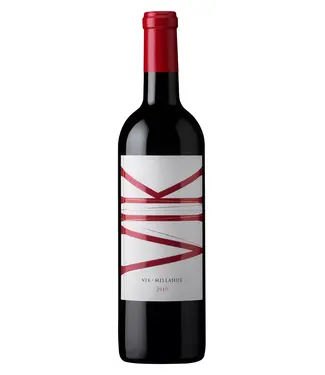 Vina Vik Winery VIK 2020