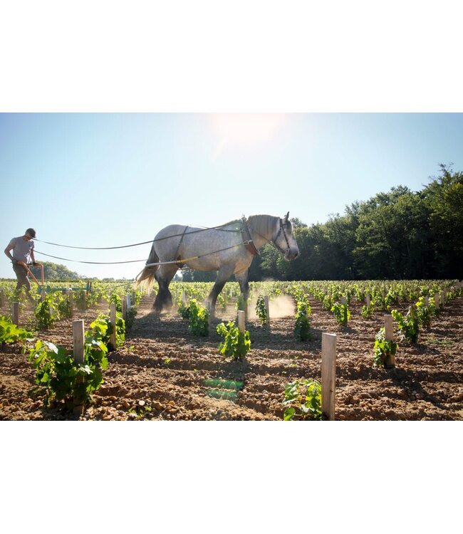 Château Malartic-Lagravière Pessac-Léognan (Grand Cru Classé de Graves) 2022