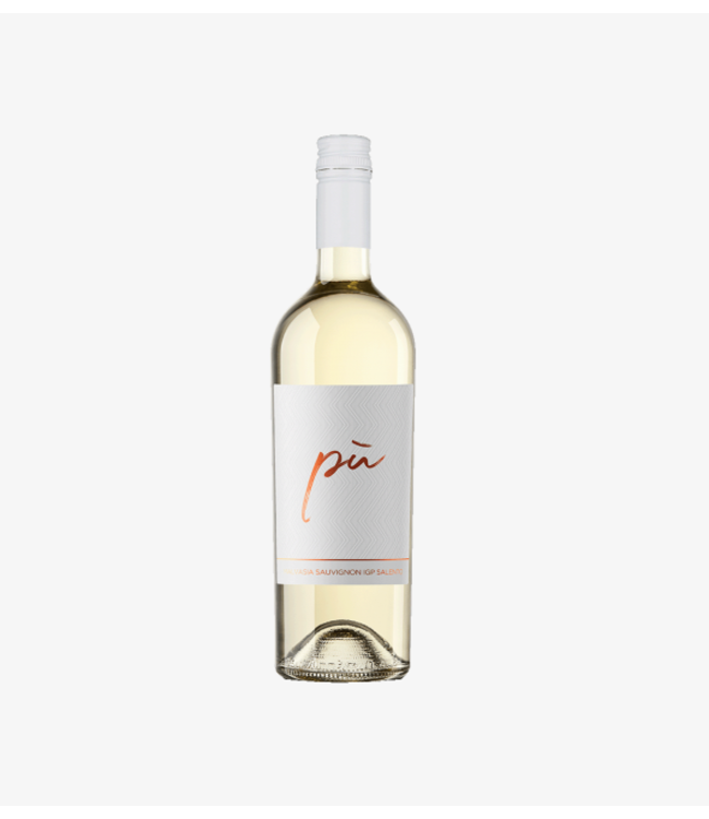 San Marzano Piu Malvasia - Sauvignon Blanc 2023