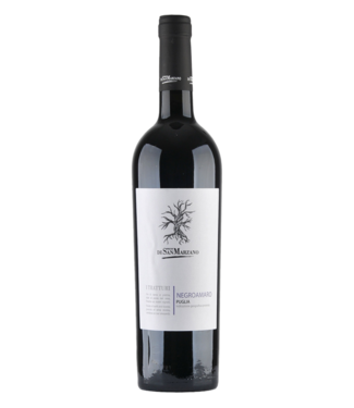 San Marzano San Marzano Puglia IGP I Tratturi Negroamaro   2024