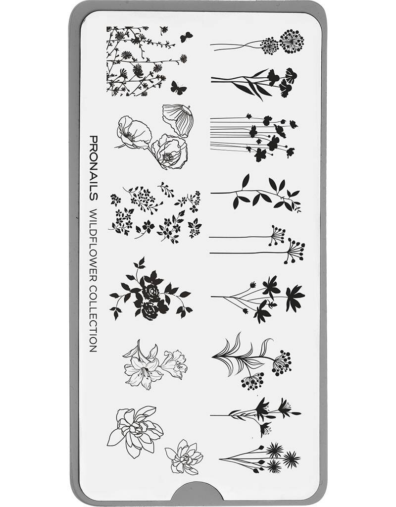 Pronails Stamping Plate Wildflowers + Scraper