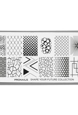 Pronails Stamping Plate Shape Your Future + Scraper