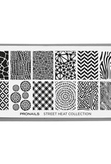 Pronails Stamping Plate Street Heat Collection + Scraper