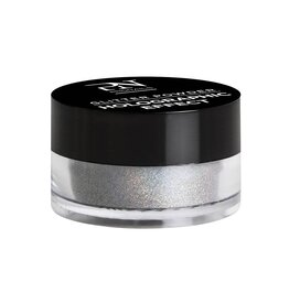 Pronails Glitter Powder Holographic Effect