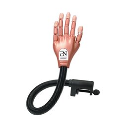 Pronails Nail Trainer Hand