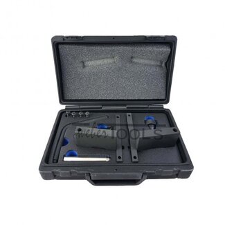 Weber Timing Tool BMW S65