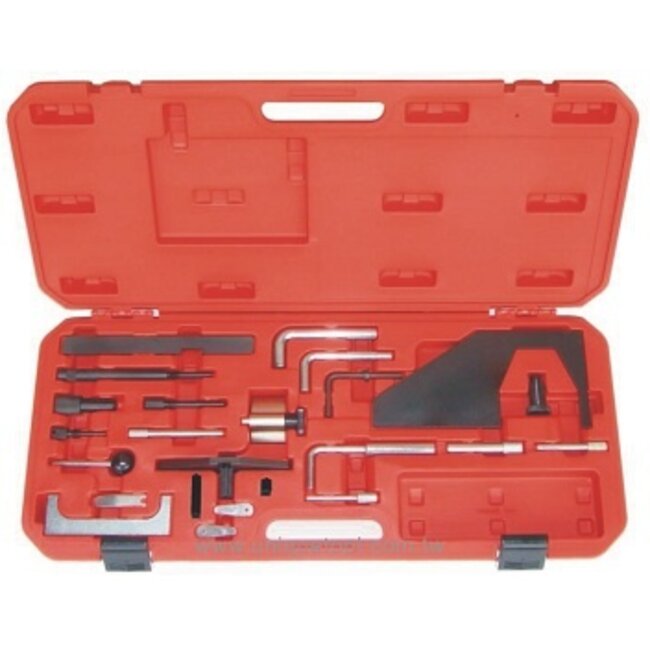 Weber Timingset Ford