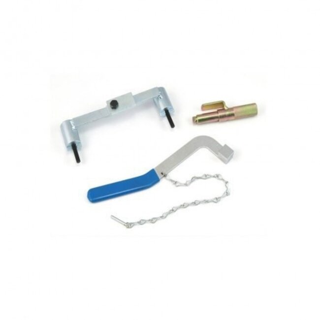 Weber Timing set Volvo en Renault