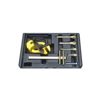 Weber Timing set Renault