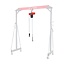 Elektrische kettingtakel 990 kg 6 m 230V draadloze afstandsbediening