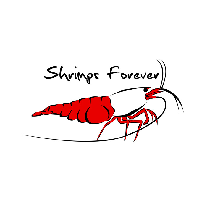 Shrimps Forever