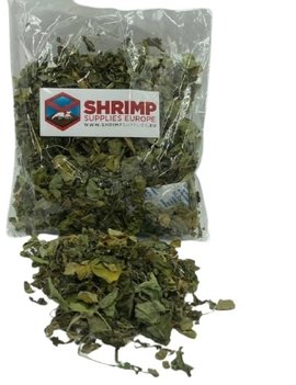 Shrimp Supplies Moringa leaves