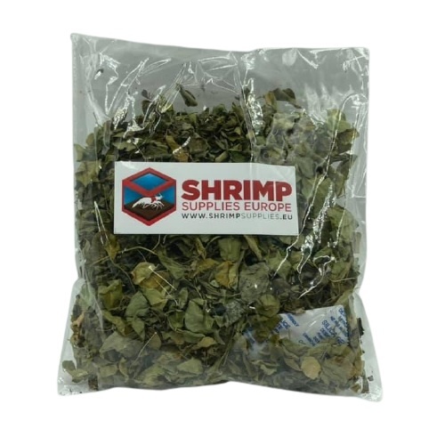 Shrimp Supplies Moringa leaves