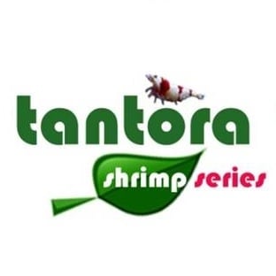 Tantora