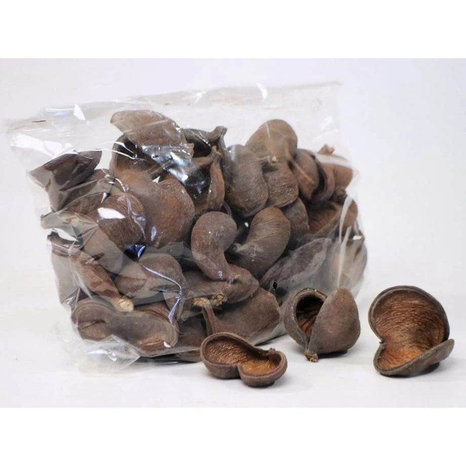 Shrimp Supplies Badam nut 5-8cm