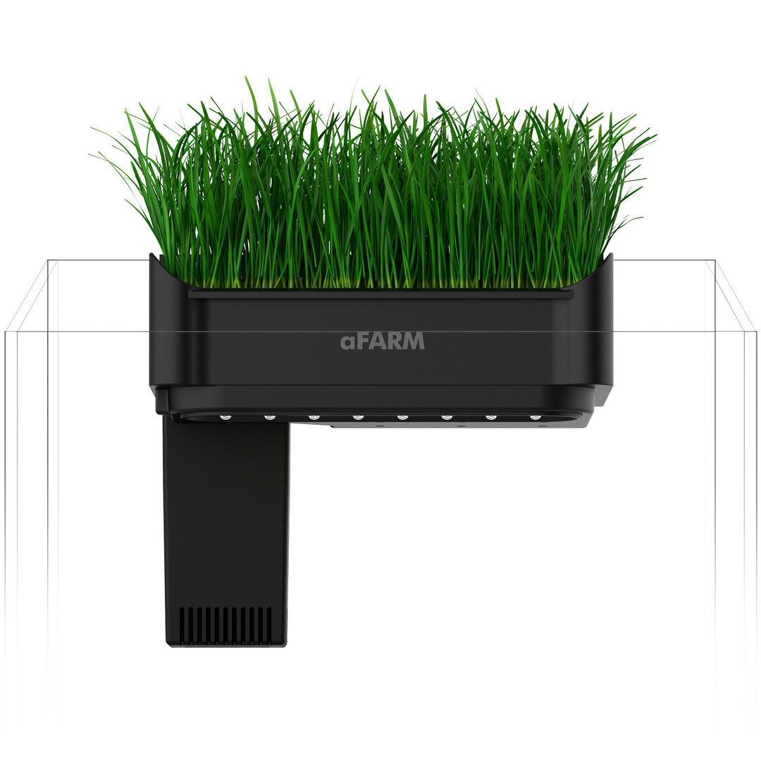 Collar Afarm Shrimp Supplies Europe