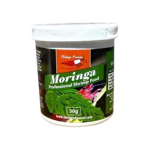 Shrimps Forever Shrimps forever moringa