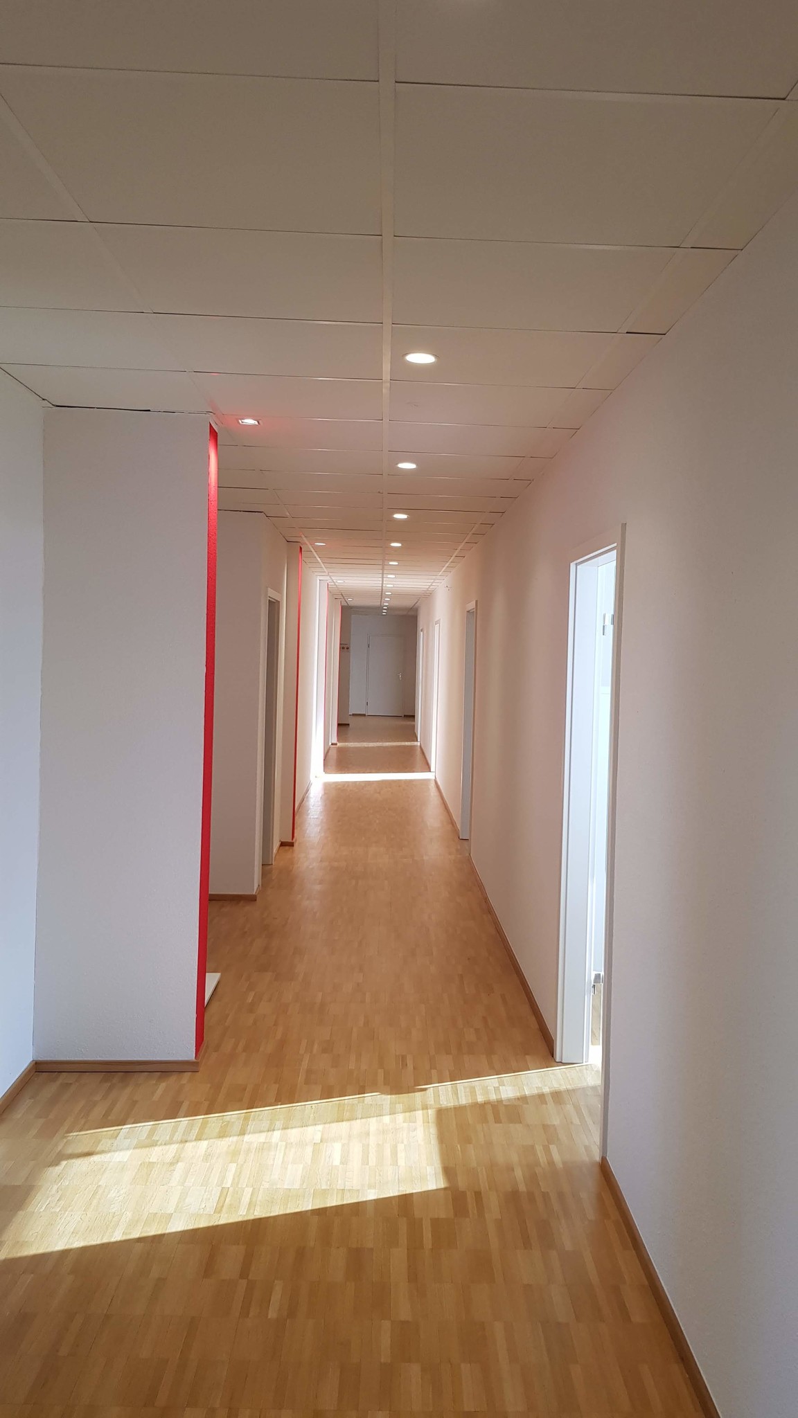 Automatic dimming of the corridor lighting in an office - EPV | Energy Saving Lighting Controls: Occupancy Sensors, Dimmers, IoT Remote Condition Monitoring. Made in Germany