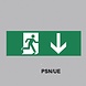 Ecolight Excellence PSN sign sticker for wall mounted EAL-250M Ecolight Excellence PSN sign sticker for wall mounted EAL-250M