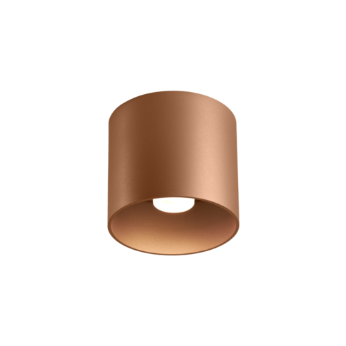 Wever-Ducre Ray 1.0 PAR16 surface mounted spot GU10 dimmable   in 6 colors