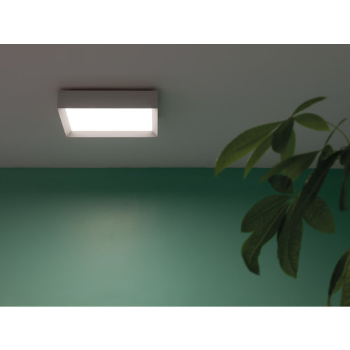 Lombardo Flo Q300 wall-ceiling surface 30Watt 300x300mm in 4 colours