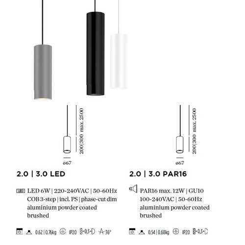 Wever-Ducre Ray 2.0-3.0 PAR16 hanglamp in 200 of 300mm