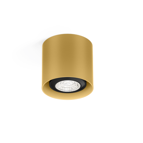 Wever-Ducre Ray Mini 1.0 PAR16 surface mounted spot GU10 dimmable  in 5 colors