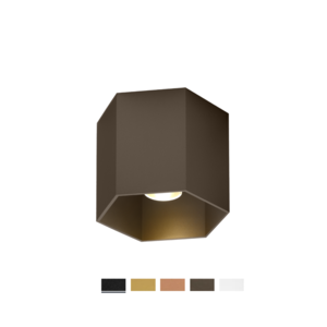 Wever-Ducre Hexo 1.0 PAR16 celing surface mounted spot GU10 dimmable