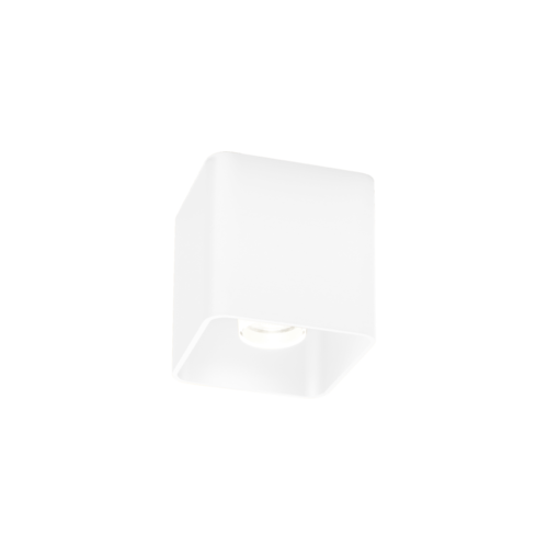 Wever-Ducre Docus 1.0 LED plafond opbouw  8Watt dimbaar in 5 kleuren