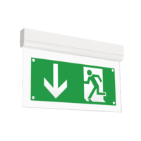 Signal emergency luminaire 1 hour with self-test