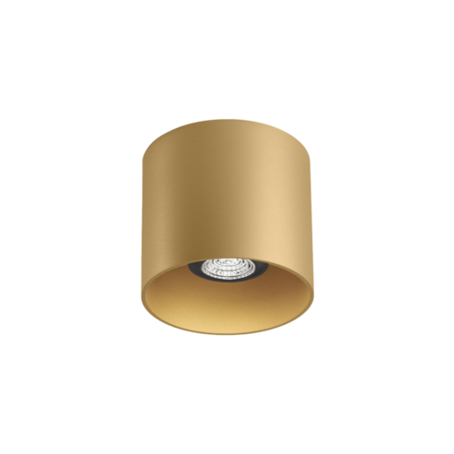 Wever-Ducre Ray 1.0 PAR16 surface mounted spot GU10 dimmable   in 6 colors