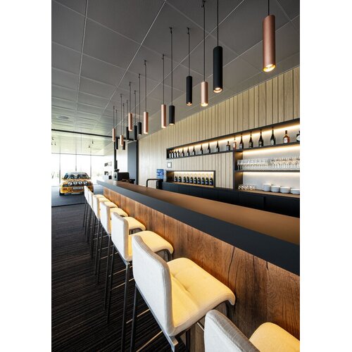 Wever-Ducre Ray 3.0 LED 6 Watt hanglamp in 300mm