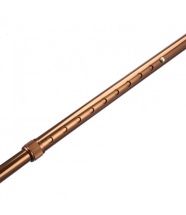 Able2 Wandelstok aluminium