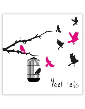 CAT Kadokaartje 20 st.