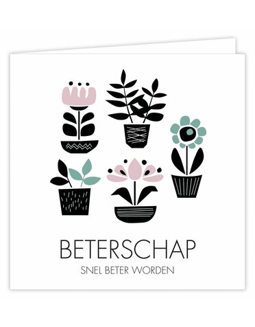 SUUS Wenskaart 6 st.