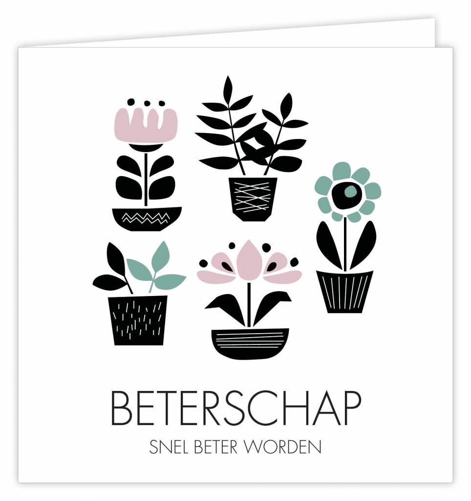 SUUS Wenskaart 6 st.