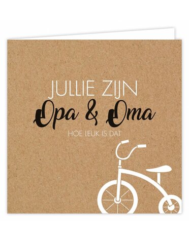 SUUS Wenskaart 6 st.