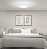 Xiaomi Xiaomi Mi Smart LED Ceiling Light 450mm