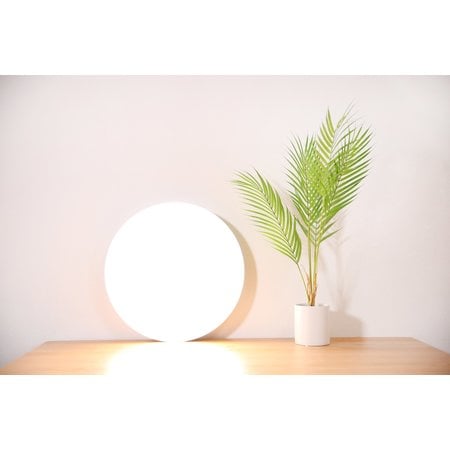 Xiaomi Xiaomi Mi Smart LED Ceiling Light 450mm