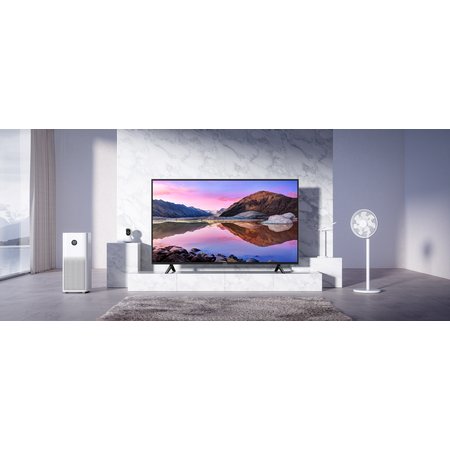 Xiaomi Xiaomi TV P1E 65 Inch
