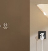 Xiaomi Xiaomi Smart Plug 2 (Wi-Fi)