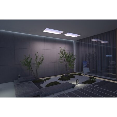 Xiaomi Yeelight Xiaomi Yeelight Pro Daklicht P21