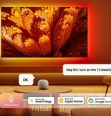 Xiaomi Yeelight Xiaomi Yeelight Obsid RGBIC Lightstrip