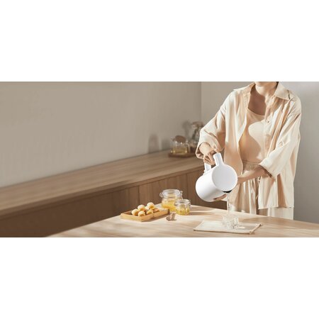Xiaomi Xiaomi Wasserkocher 2 Lite