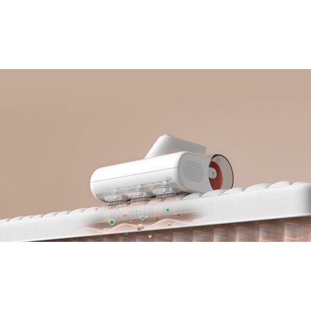 Xiaomi Aspirateur à Acariens Xiaomi