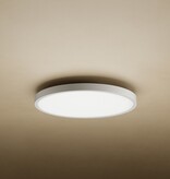 Xiaomi Xiaomi Smart Ceiling Light D30