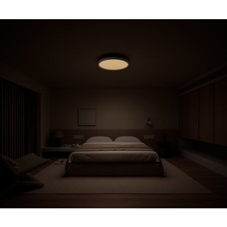 Xiaomi Xiaomi Smart Ceiling Light D30