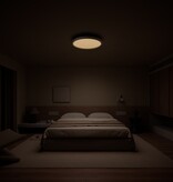 Xiaomi Xiaomi Smart Ceiling Light D40